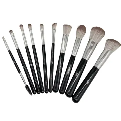 Set Brocha Profesional Black Dragon 10 piezas BD1